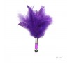 Tickler