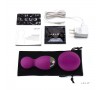 Remote Vibrator