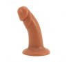 Dongs and Dildos
