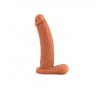 Dongs and Dildos