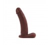 Dongs and Dildos