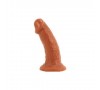 Dongs and Dildos