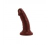 Dongs and Dildos