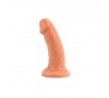 Dongs and Dildos