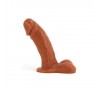 Dongs and Dildos