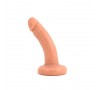 Dongs and Dildos