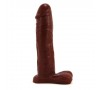 Dongs and Dildos