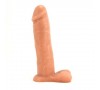 Dongs and Dildos