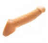 Dongs and Dildos