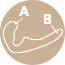 active_passive_part_14