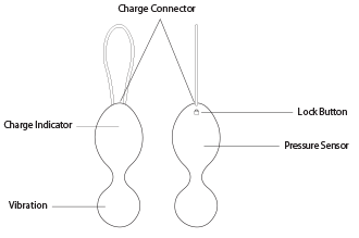 swanclutchdiagram